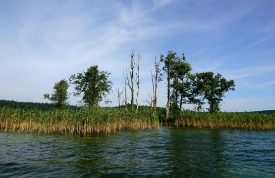 Jezioro Dąbie: Naturalny Klejnot Szczecina