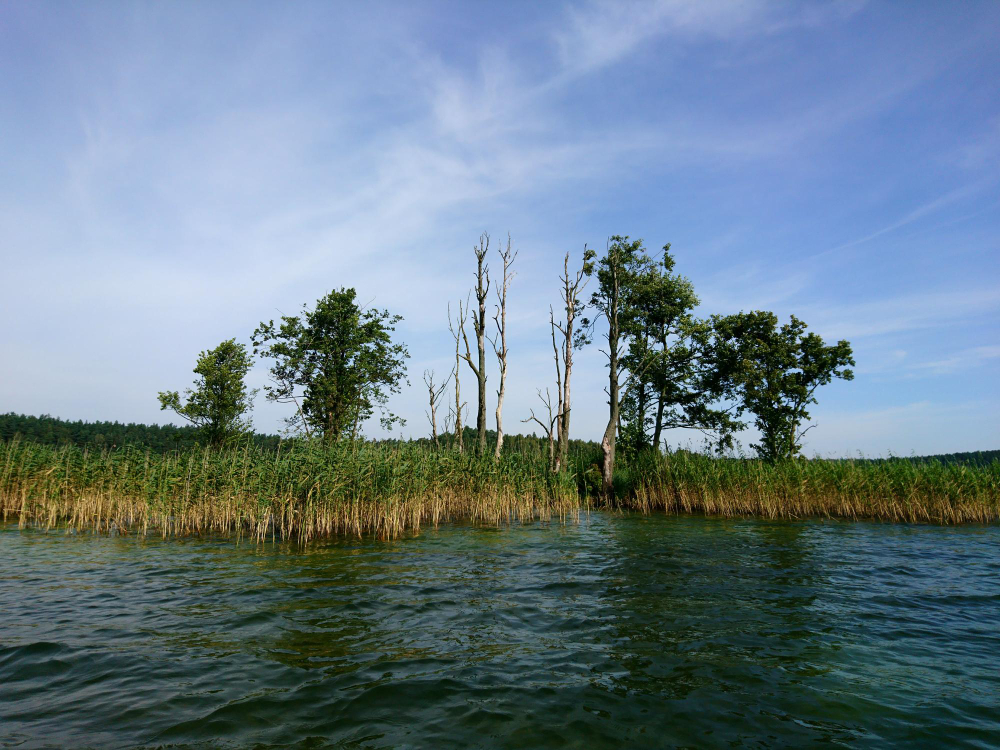 Jezioro Dąbie: Naturalny Klejnot Szczecina